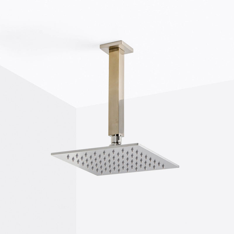 Devon 2-3 Way Shower Set With Hand Shower Set - Ceiling Mount - 8" Brass/Brushed Nickel