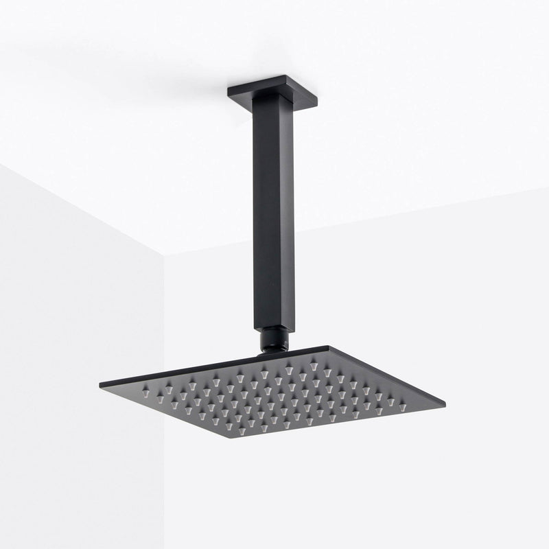 Devon 2-3 Way Shower Set With Hand Shower Set - Ceiling Mount - 8" Brass/Matt Black