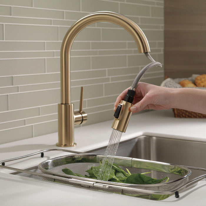 Trinsic Pull Out Kitchen Faucet - Single Hole - 16" Brass/Champagne Bronze