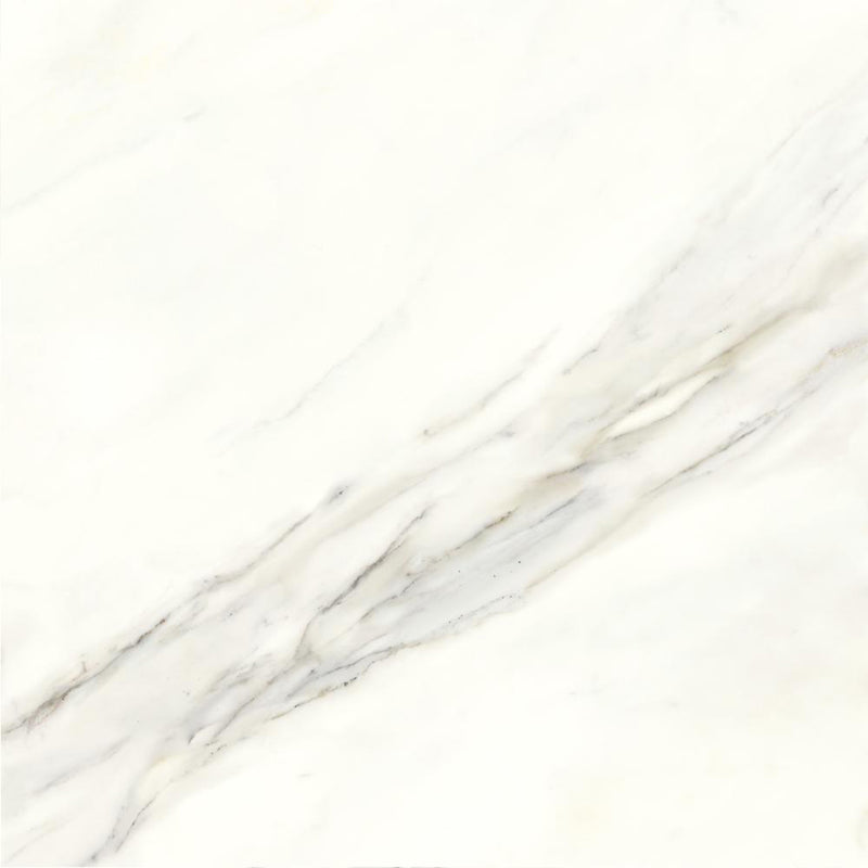 Calacatta Floor Tile - Wall Or Floor Mount - 23.6 x 23.6" Porcelain/Super White Satin