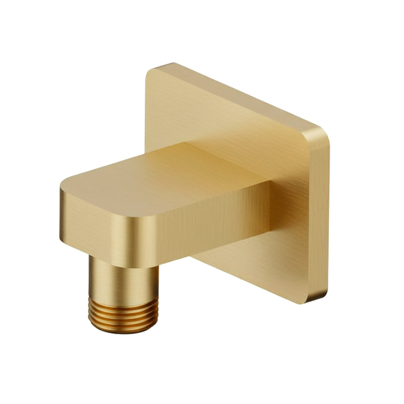 Serie 196 Hand Shower Connector - Wall Mount - 3" Brass/Satin Brass