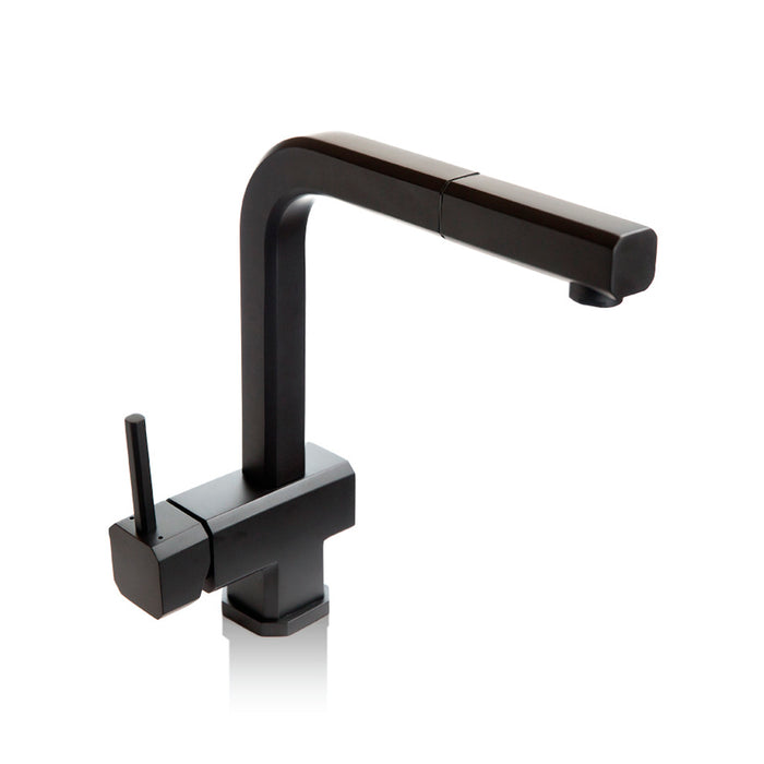 Cito Dual Spray Pull Out Kitchen Faucet - Single Hole - 12" Stainless Steel/Matt Black