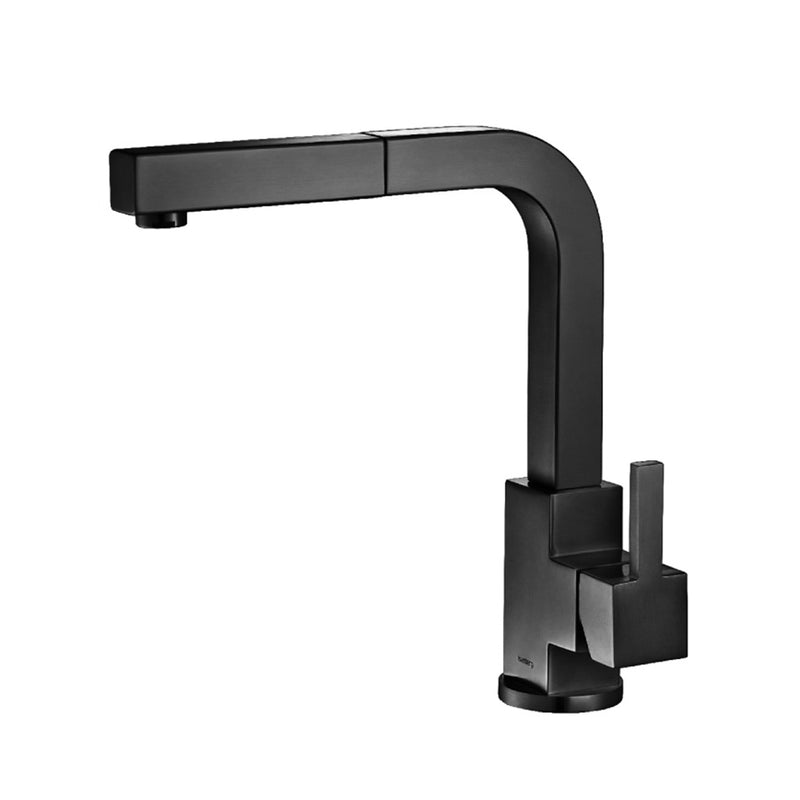 Deus Dual Spray Pull Out Kitchen Faucet - Single Hole - 12" Stainless Steel/Matt Black