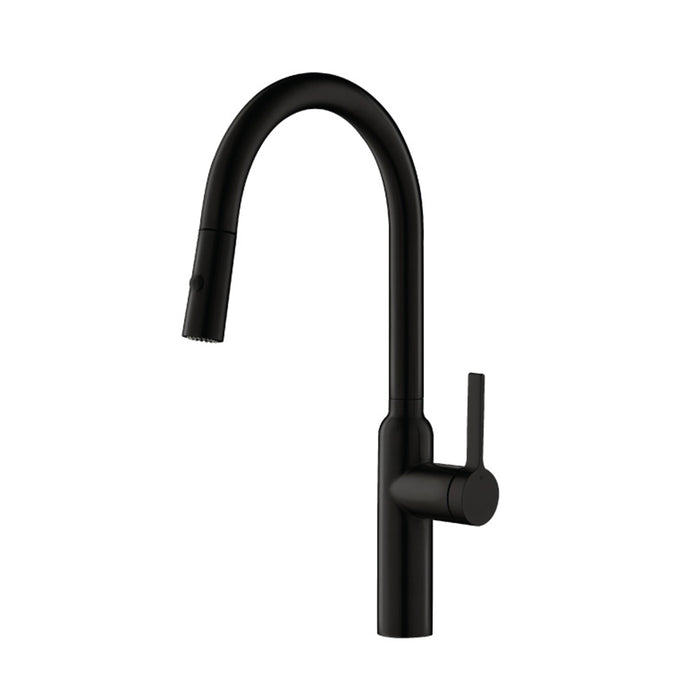 Ziel Dual Spray Pull Out Kitchen Faucet - Single Hole - 18" Stainless Steel/Matt Black