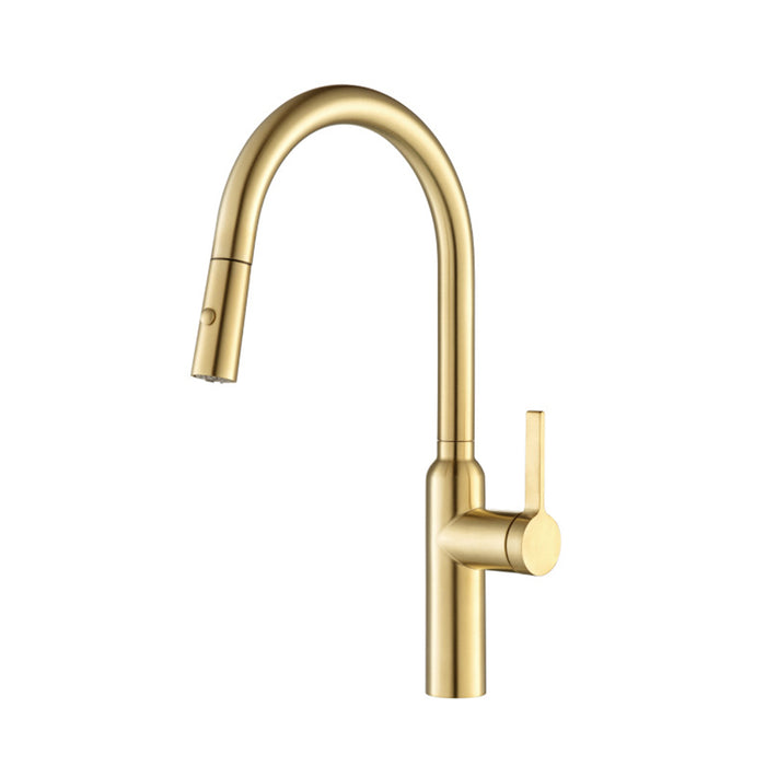 Ziel Dual Spray Pull Out Kitchen Faucet - Single Hole - 18" Stainless Steel/Brushed Gold