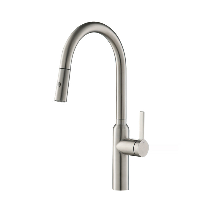 Ziel Dual Spray Pull Out Kitchen Faucet - Single Hole - 18" Stainless Steel/Stainless Steel