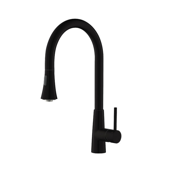 Zest Dual Spray Pull Out Kitchen Faucet - Single Hole - 18" Stainless Steel/Matt Black