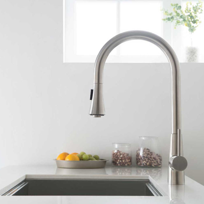 Zest Dual Spray Pull Out Kitchen Faucet - Single Hole - 18" Stainless Steel/Matt Black