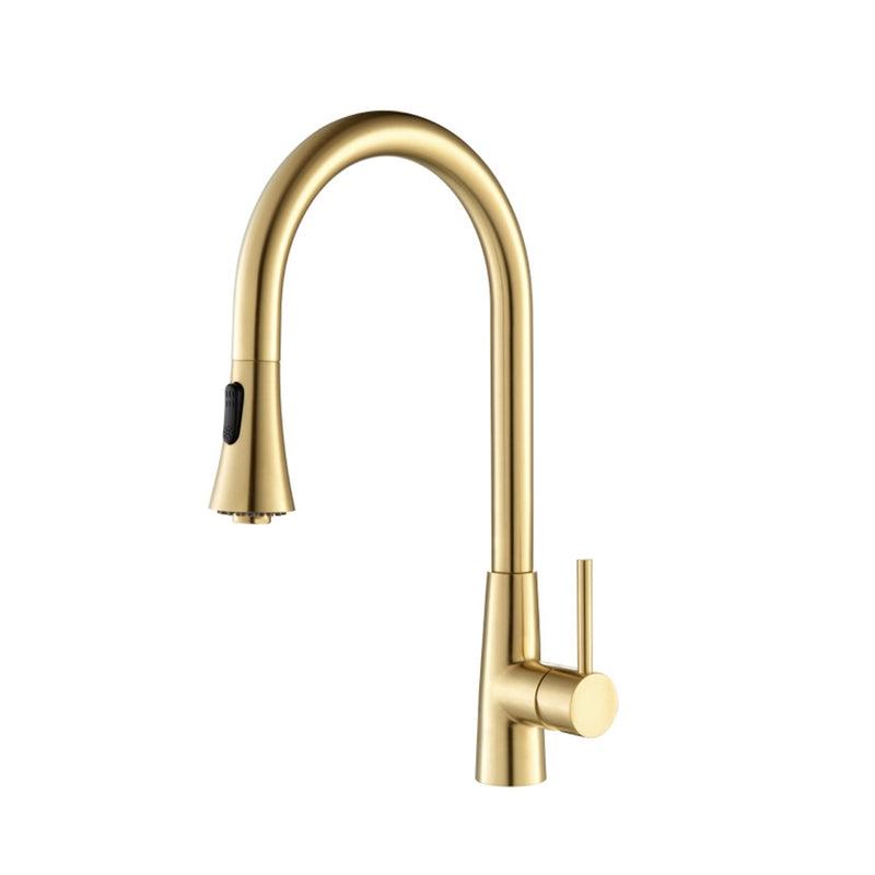 Zest Dual Spray Pull Out Kitchen Faucet - Single Hole - 18" Stainless Steel/Brushed Gold