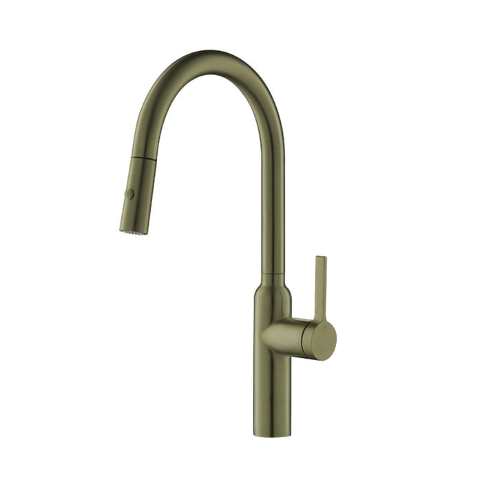 Ziel Dual Spray Pull Out Kitchen Faucet - Single Hole - 18" Stainless Steel/Army Green