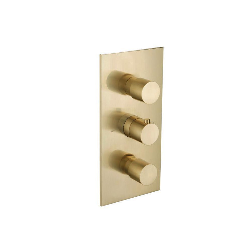 Serie 100 2 Way Thermostatic Complete Shower Set - Wall Mount - 10" Brass/Satin Brass