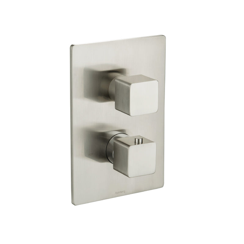 Serie 196 2 Way Thermostatic Trim Complete Shower Set - Wall Mount - 6" Brass/Brushed Nickel