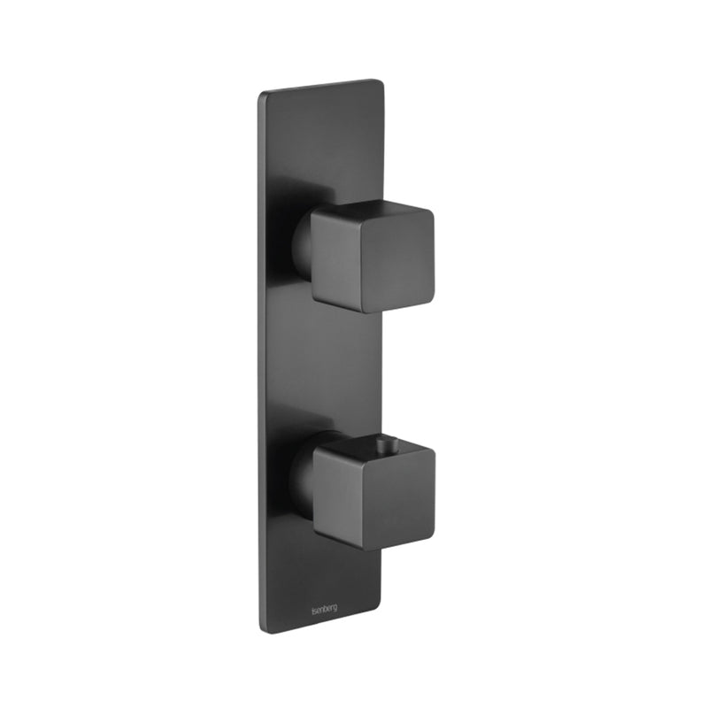 Serie 196 2 Way Thermostatic Complete Shower Set - Wall Mount - 12" Brass/Matt Black