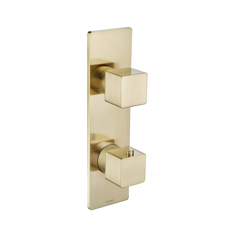 Serie 196 2 Way Thermostatic Complete Shower Set - Wall Mount - 12" Brass/Satin Brass