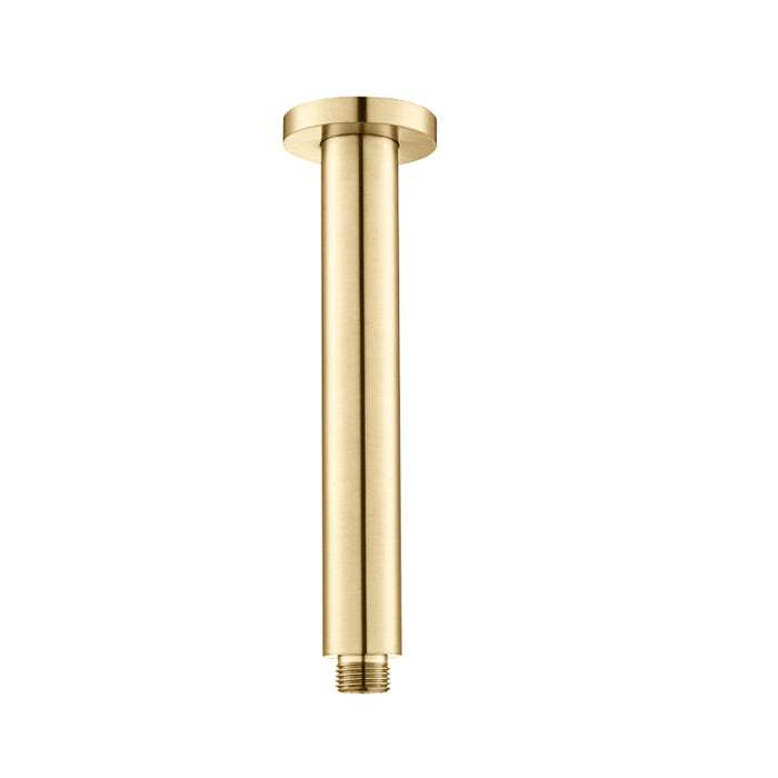 Serie 100 Round Shower Arm - Ceiling Mount - 6" Brass/Satin Brass