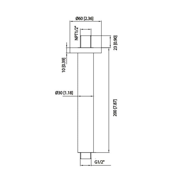 Serie 100 Round Shower Arm - Ceiling Mount - 8" Brass/Polished Chrome