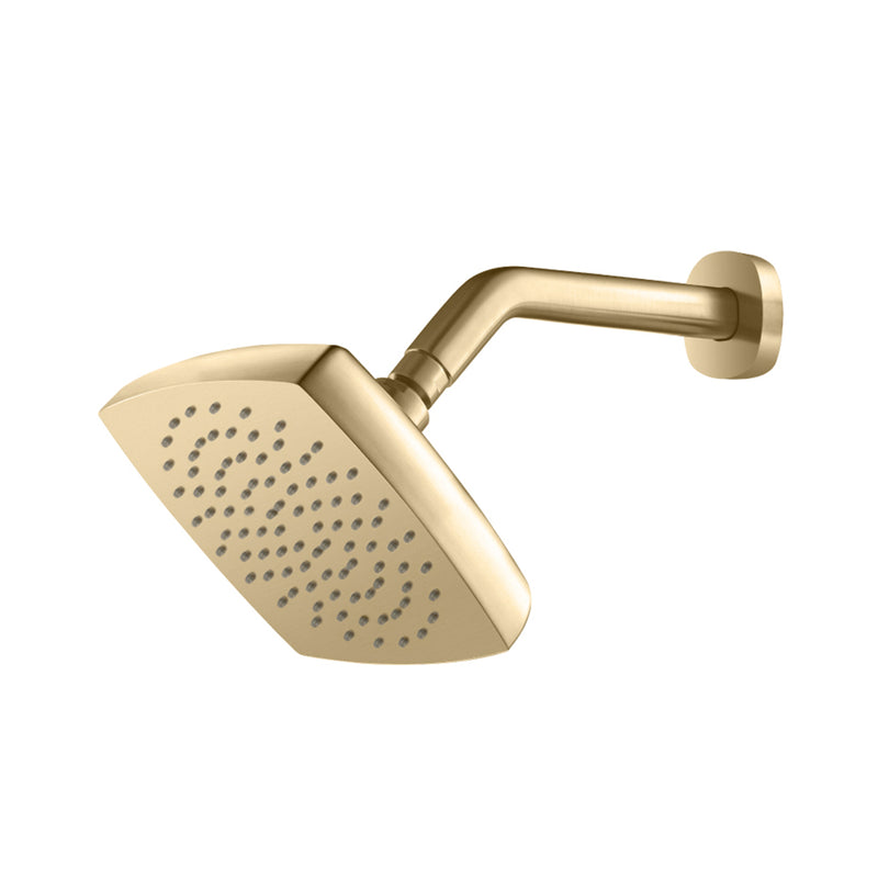 Serie 240 Complete Rainhead Shower Head - Wall Mount - 7" Brass/Satin Brass