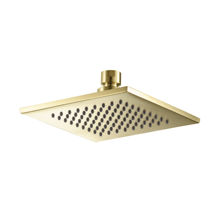 Universal Rainhead Shower Head - Wall Mount - 6" Brass/Satin Brass