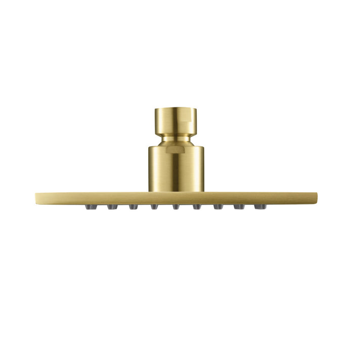 Universal Rainhead Shower Head - Wall Mount - 6" Brass/Satin Brass