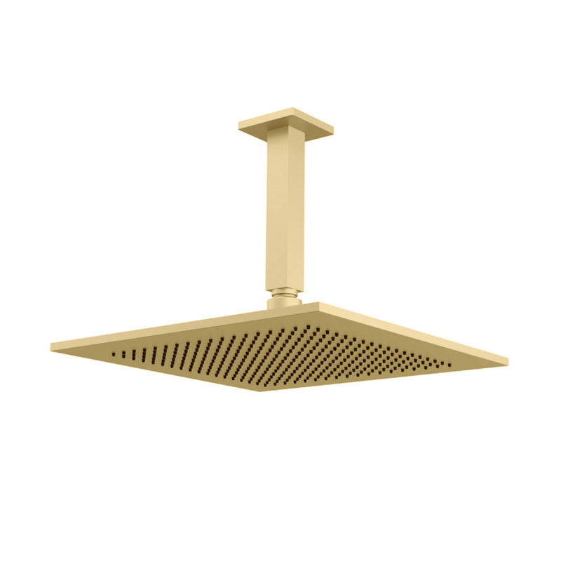 Universal Square Rainhead Complete Shower Head - Ceiling Mount - 12" Brass/Satin Brass