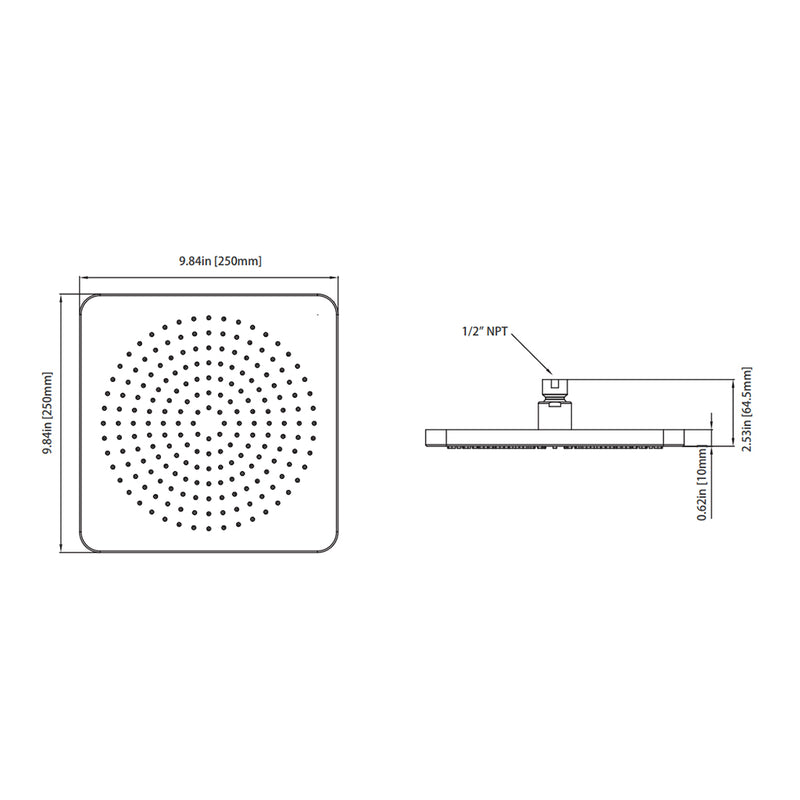 Universal Rainhead Shower Head - Wall Or Ceiling Mount - 10" Brass/Polished Nickel