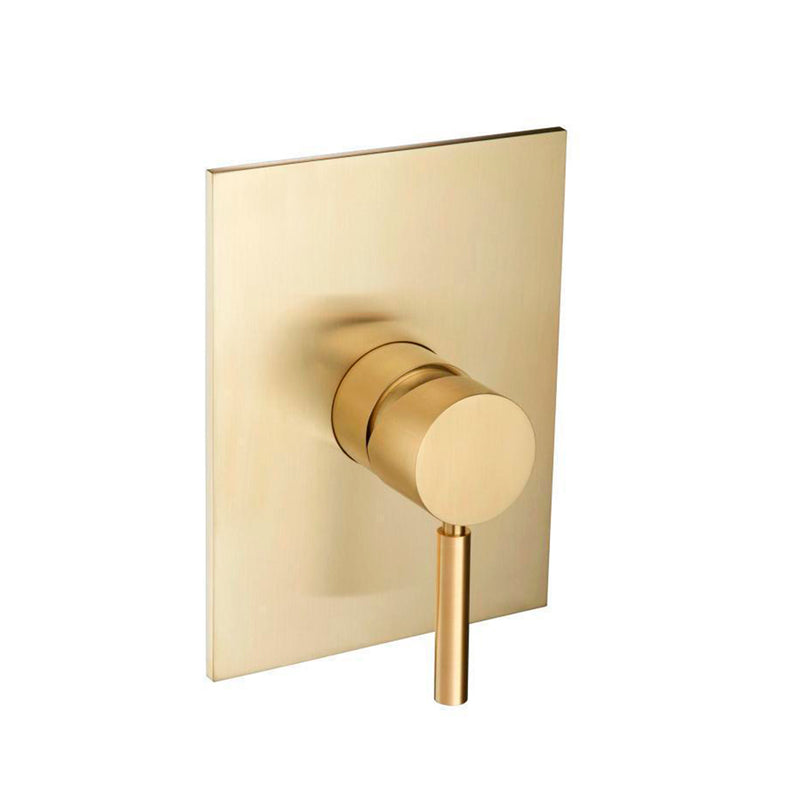 Serie 100 1 Way Pressure Balance Shower Mixer - Wall Mount - 6" Brass/Satin Brass