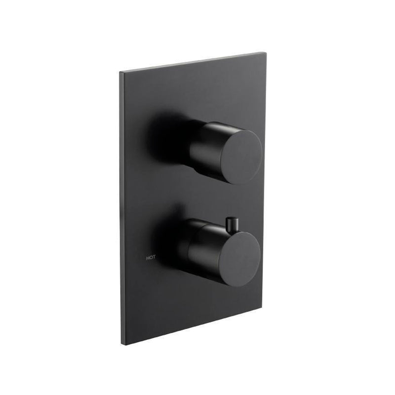 Serie 100 1 Way Thermostatic Shower Mixer - Wall Mount - 6" Brass/Matt Black