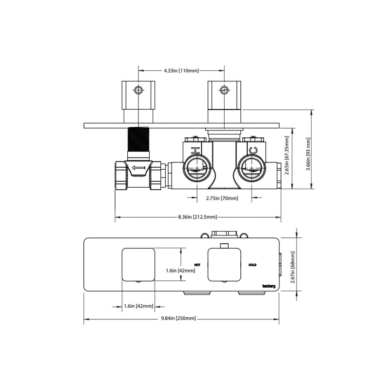 Serie 196 1 Way Horizontal Thermostatic Shower Mixer - Wall Mount - 10" Brass/Brushed Nickel