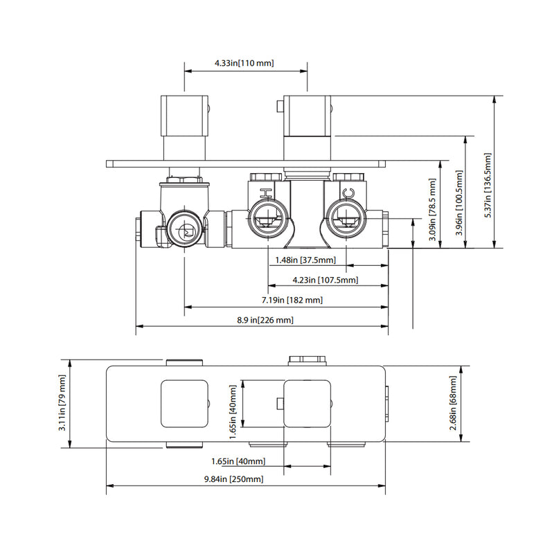Serie 196 2 Way Horizontal Thermostatic Shower Mixer - Wall Mount - 10" Brass/Satin Brass