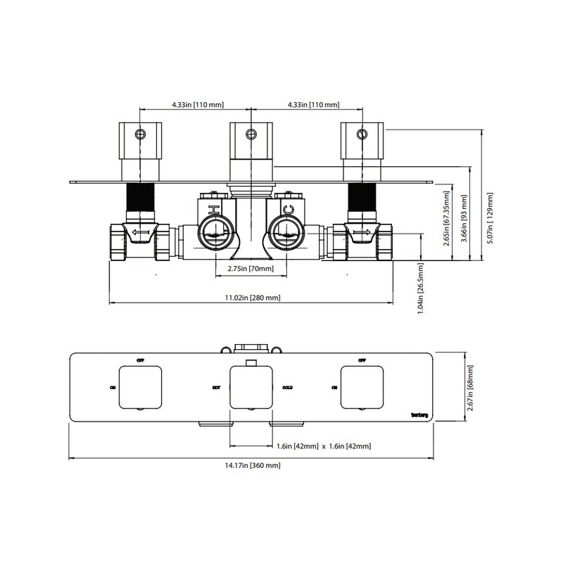 Serie 196 2 Way Horizontal Thermostatic Shower Mixer with 2 Volume Controls - Wall Mount - 14" Brass/Brushed Nickel