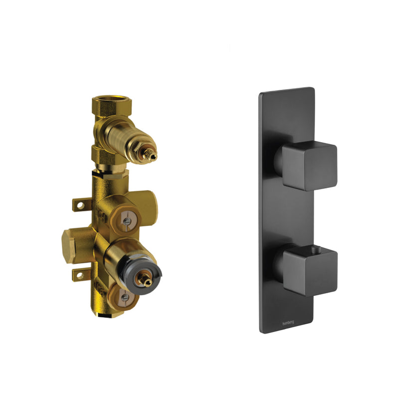 Serie 196 1 Way Thermostatic Shower Mixer - Wall Mount - 10" Brass/Matt Black
