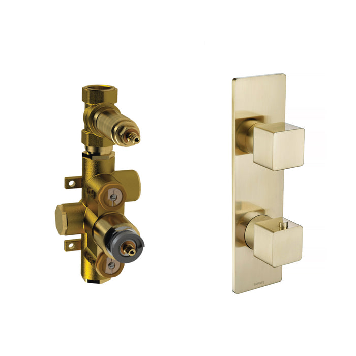 Serie 196 1 Way Horizontal Thermostatic Shower Mixer - Wall Mount - 10" Brass/Satin Brass