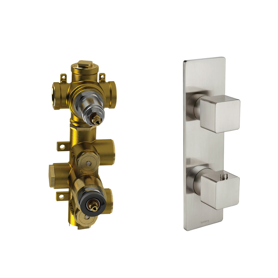 Serie 196 2 Way Thermostatic Shower Mixer - Wall Mount - 10" Brass/Brushed Nickel