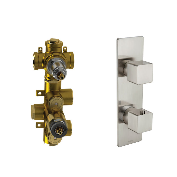Serie 196 2 Way Horizontal Thermostatic Shower Mixer - Wall Mount - 10" Brass/Brushed Nickel