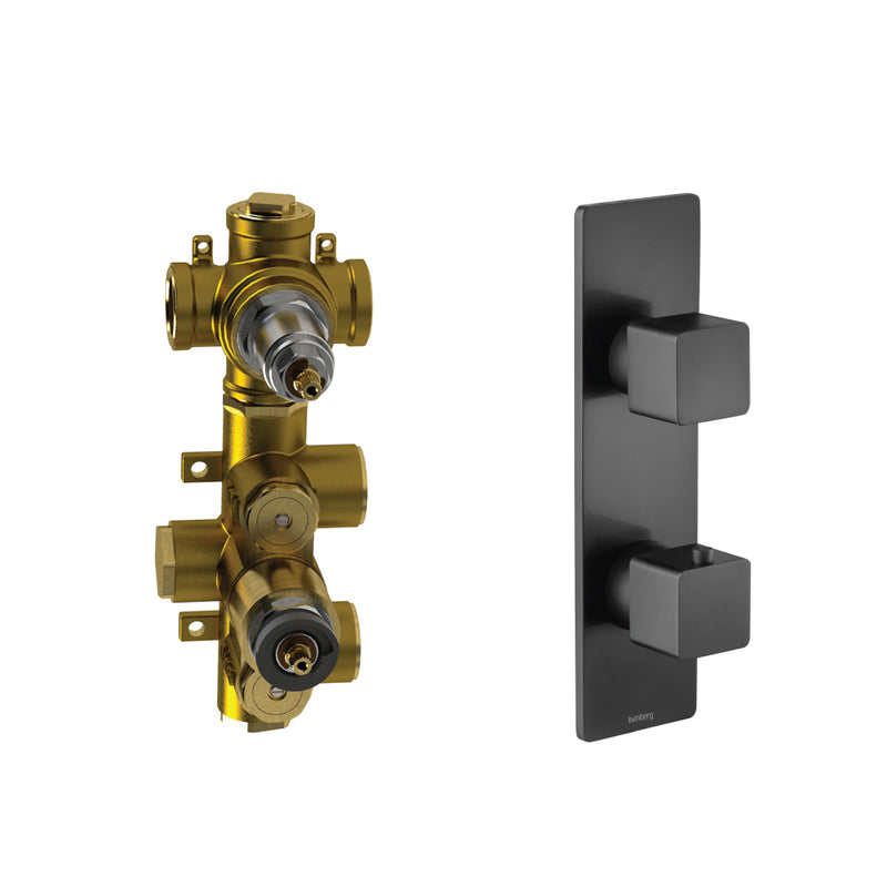 Serie 196 2 Way Thermostatic Shower Mixer - Wall Mount - 10" Brass/Matt Black