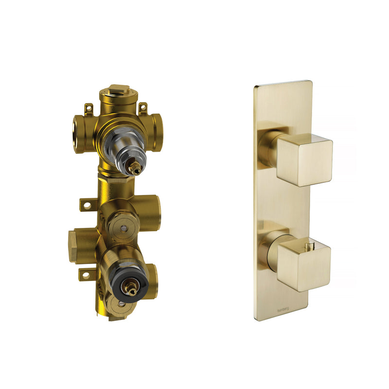 Serie 196 2 Way Thermostatic Shower Mixer - Wall Mount - 10" Brass/Satin Brass