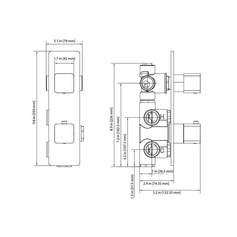 Serie 196 2 Way Thermostatic Shower Mixer - Wall Mount - 10" Brass/Satin Brass