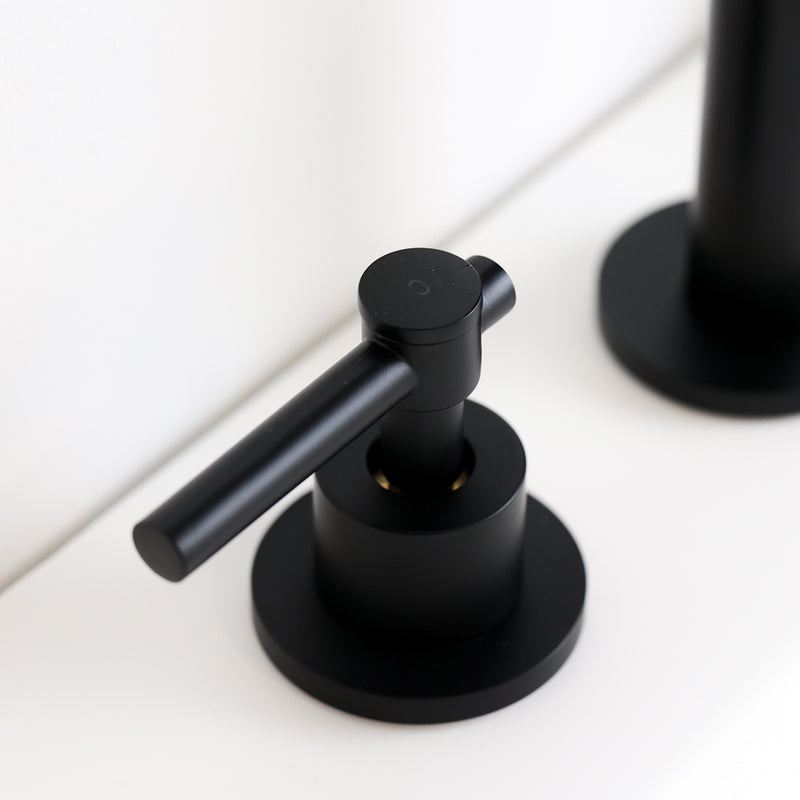 Metro Soho Bathroom Faucet - Widespread - 10" Brass/Matt Black