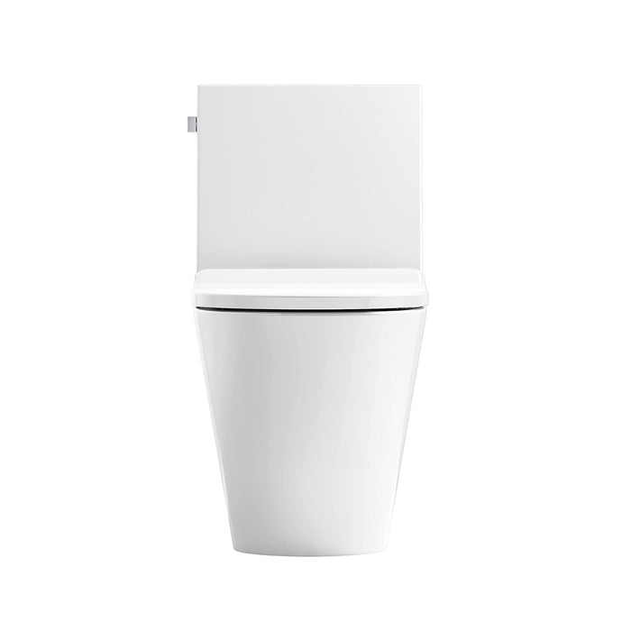 Brazn Compact Elongated Complete Dual Flush One Piece Toilet - Floor Mount - 30" Porcelain/White
