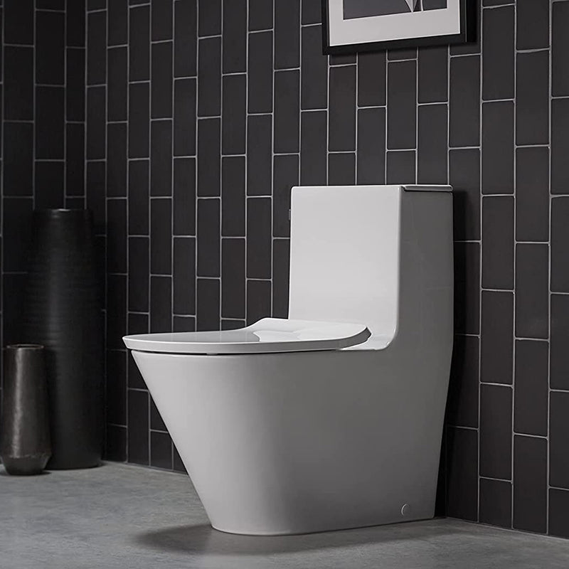 Brazn Compact Elongated Complete Dual Flush One Piece Toilet - Floor Mount - 30" Porcelain/White