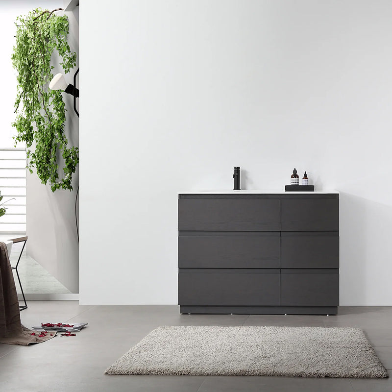 Rothenburg 6 Drawers Bathroom Vanity with Acrylic Sink - Floor Mount - 42" Wood/Charcoal