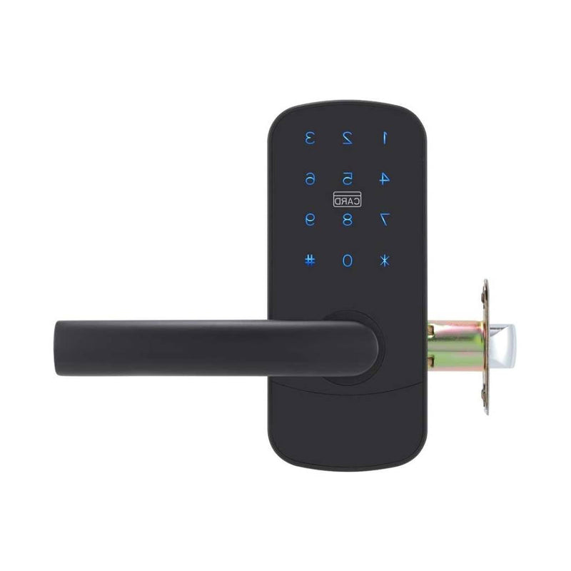 Focus LH Smart Locks - Door Mount - 6" Brass/Black