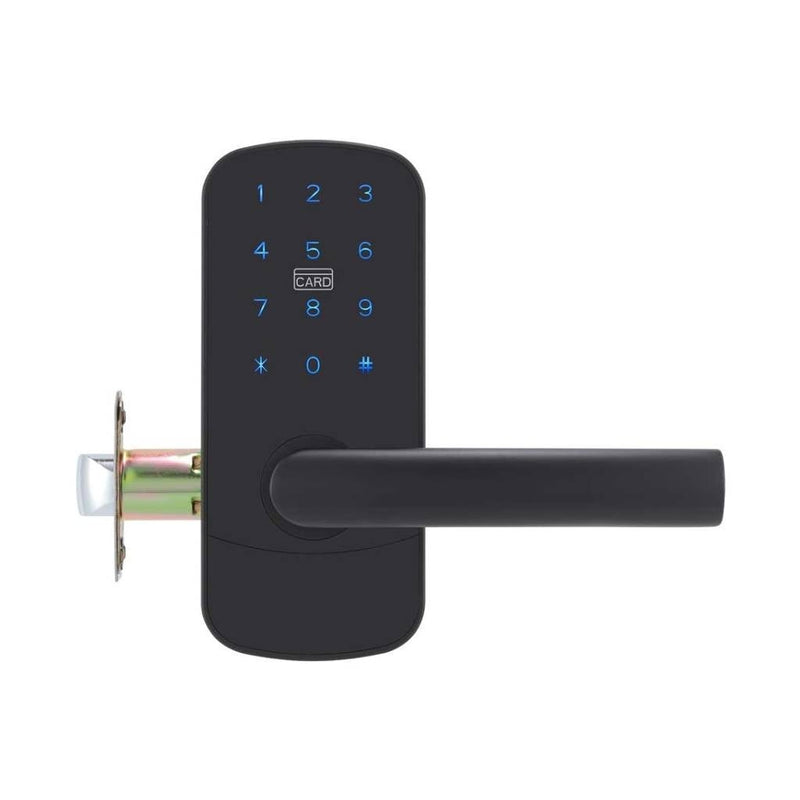 Focus RH Smart Locks - Door Mount - 6" Brass/Black