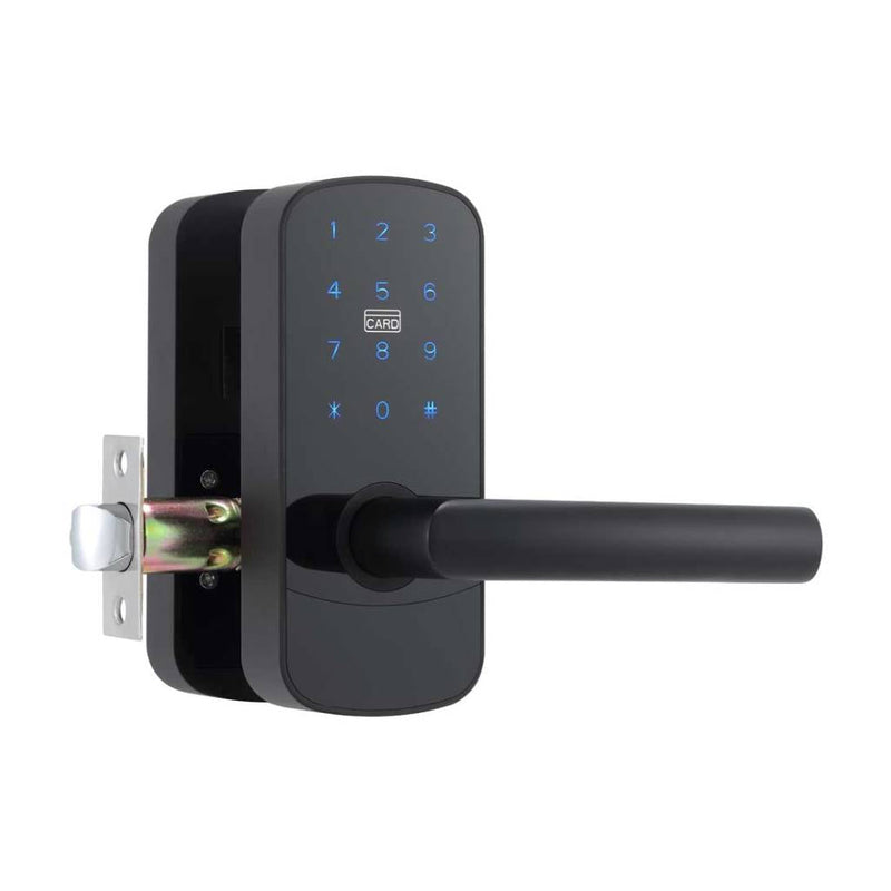 Focus RH Smart Locks - Door Mount - 6" Brass/Black