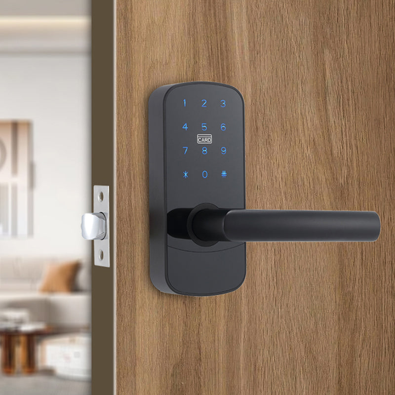Focus RH Smart Locks - Door Mount - 6" Brass/Black
