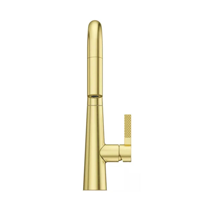 Asari Pull Down Kitchen Faucet - Single Hole - 16" Brass/Brushed Gold