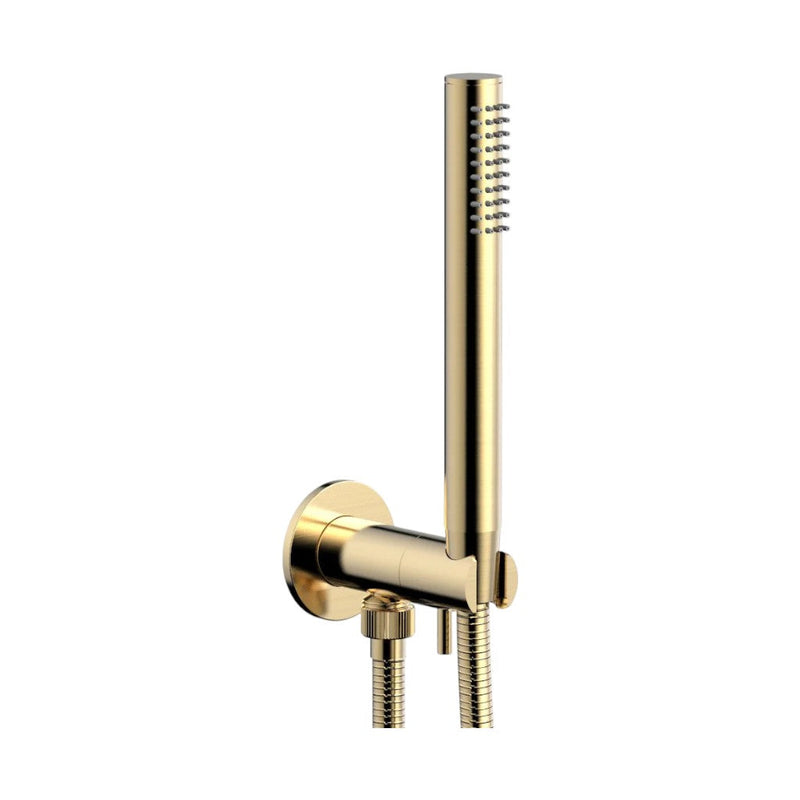 Basic Ii Round Volume Control Hand Shower Set - Wall Mount - 9" Brass/Satin Brass