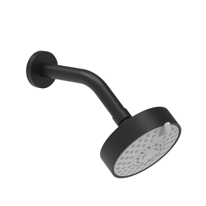 Multifunction Shower Head - Wall Mount - 11" Brass/Matt Black