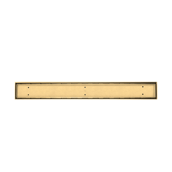 Mist (Tile-In) Delmar Standard Length Plain Edge Linear Shower Drain  - Floor Mount - 24" Stainless Steel/Gold