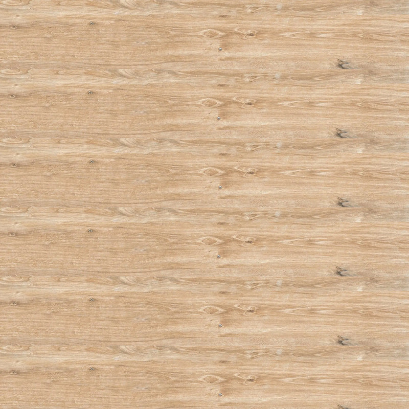 Everglade Forest Floor Tile - Floor Mount - 8 x 48" Porcelain/Glazed